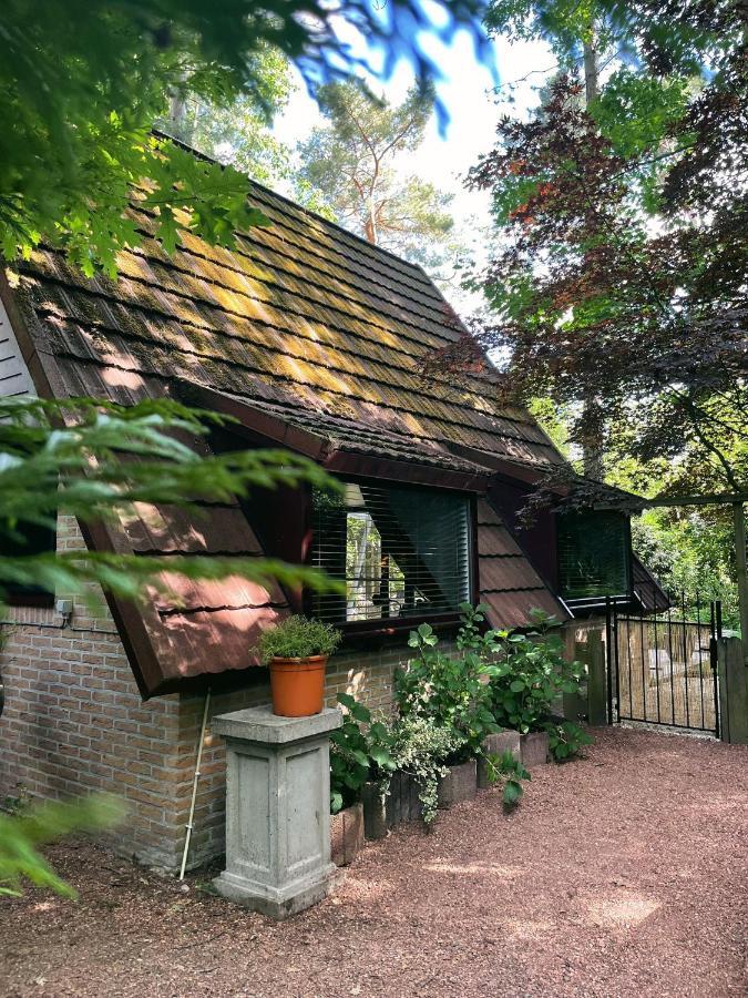 Mimi'S Natuurhuisje ランアーケン エクステリア 写真