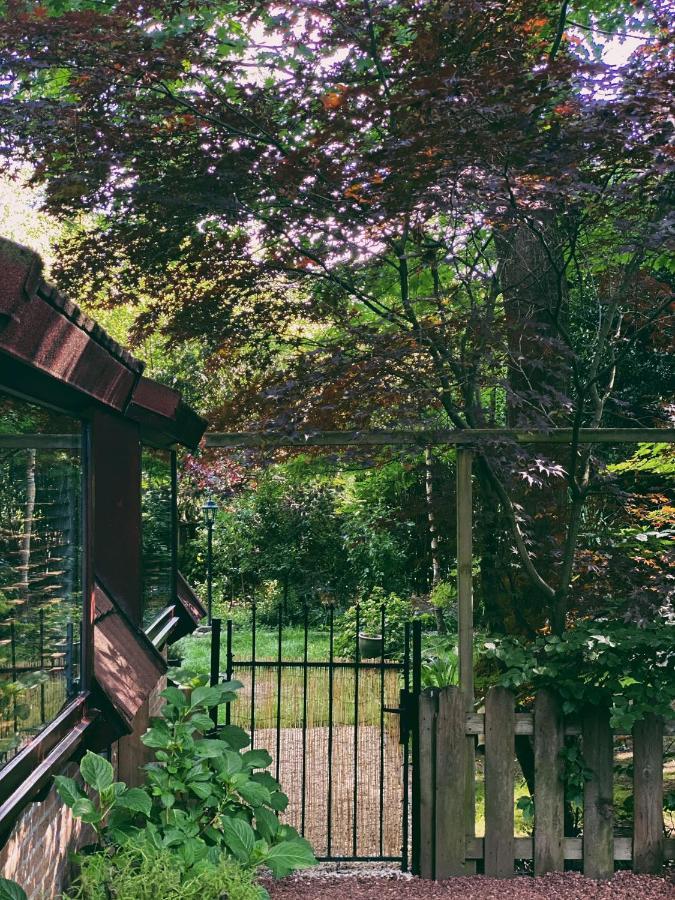 Mimi'S Natuurhuisje ランアーケン エクステリア 写真