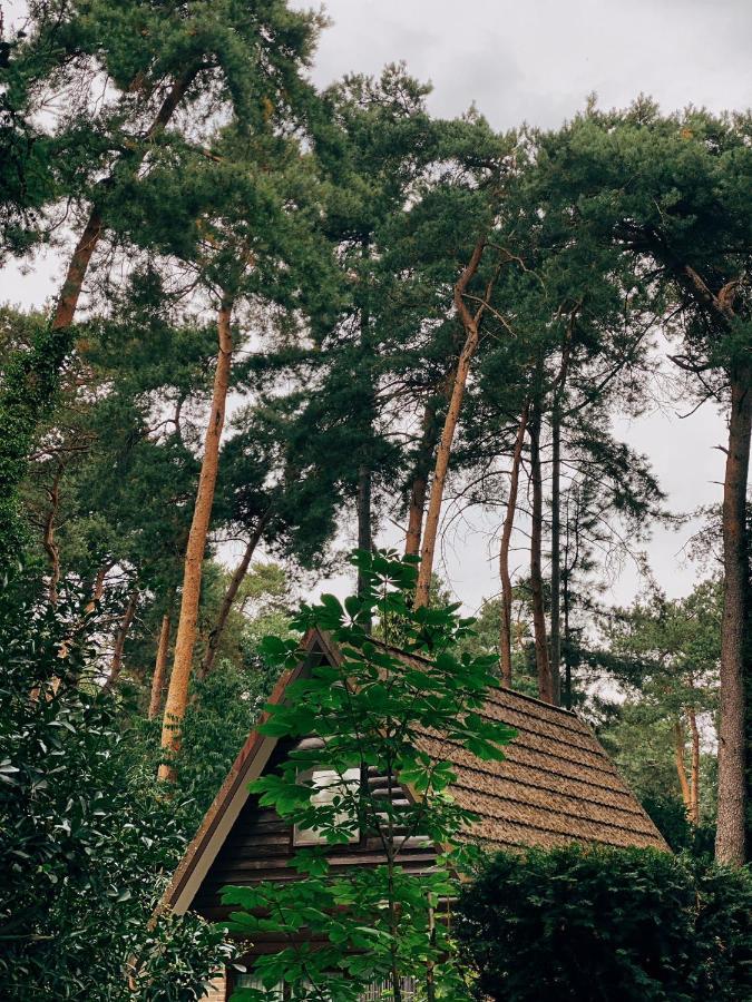 Mimi'S Natuurhuisje ランアーケン エクステリア 写真