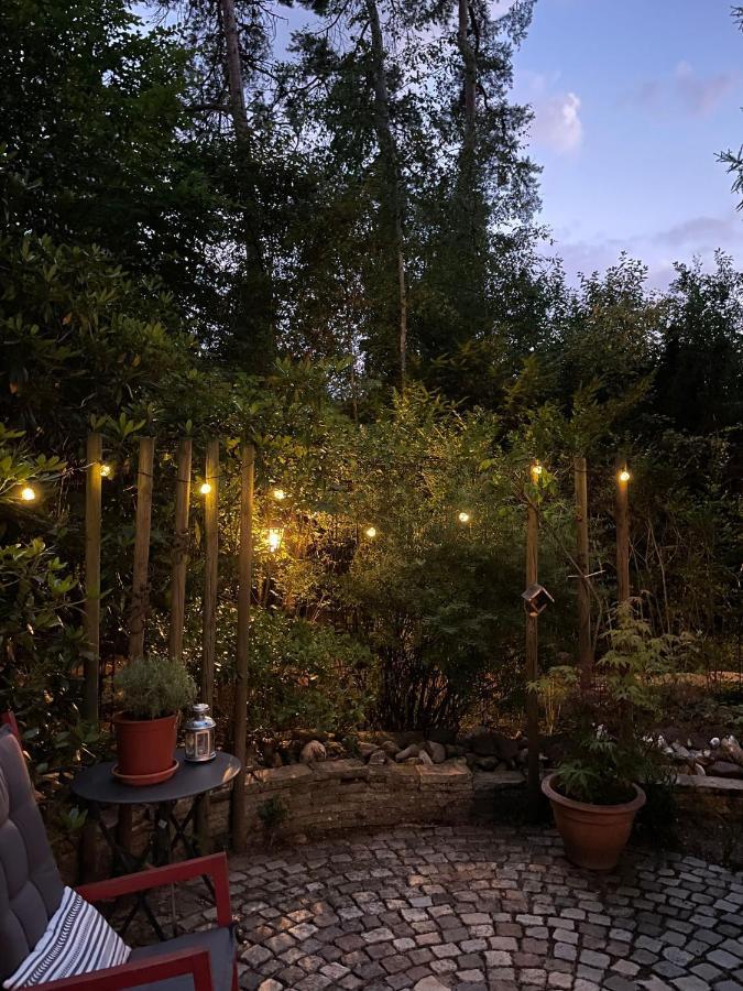Mimi'S Natuurhuisje ランアーケン エクステリア 写真