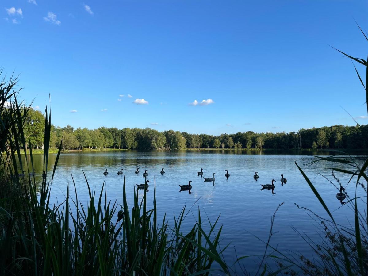 Mimi'S Natuurhuisje ランアーケン エクステリア 写真