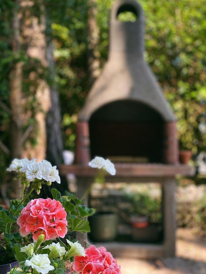 Mimi'S Natuurhuisje ランアーケン エクステリア 写真