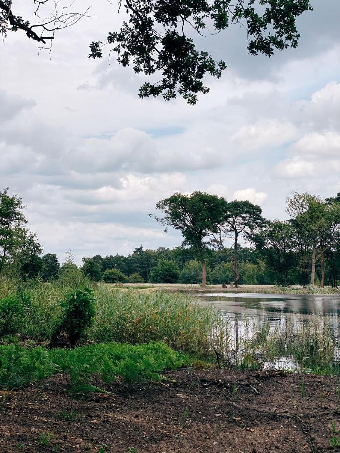 Mimi'S Natuurhuisje ランアーケン エクステリア 写真