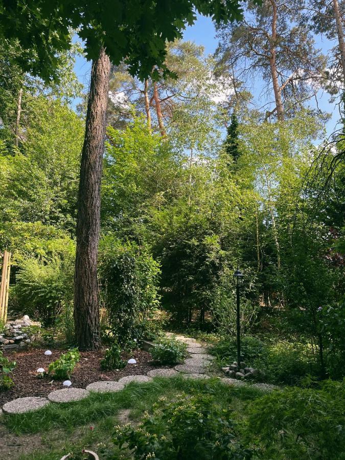 Mimi'S Natuurhuisje ランアーケン エクステリア 写真