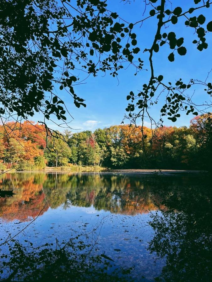 Mimi'S Natuurhuisje ランアーケン エクステリア 写真